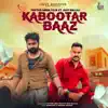 Tayyab Amin Teja - Kabootar Baaz (feat. Asif Ballaj) - Single